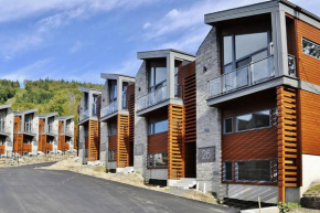 Отель Chalets Alpins - 20 Chemin des Quarante  Стоунхэм 